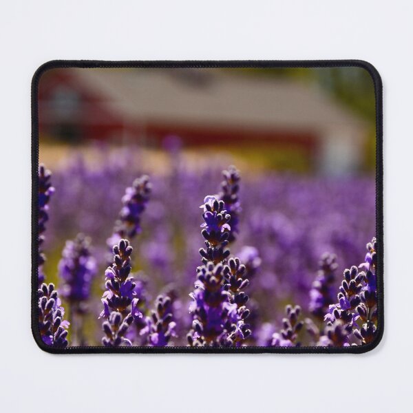 Item preview, Lavender farm designed and sold by Cblifeisgood.