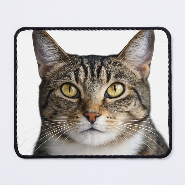 Item preview, Golden Gaze Tabby Cat Portrait designed and sold by Kimberly Palmer.