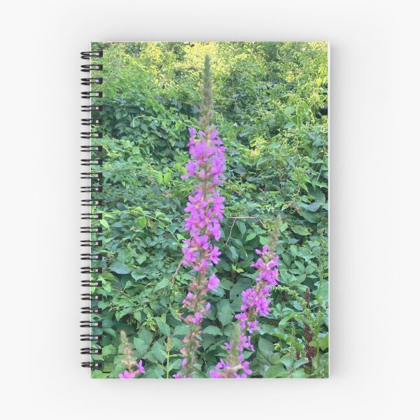 Item preview, Purple Loosestrife with Many Other Plants designed and sold by Amanda1775.