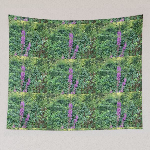 Item preview, Purple Loosestrife with Many Other Plants designed and sold by Amanda1775.