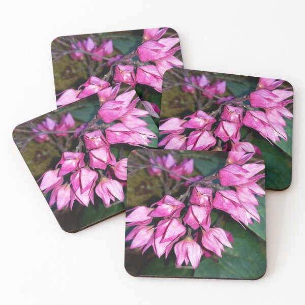 Item preview, Orchids designed and sold by HJ-Photography.
