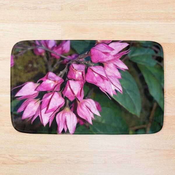 Item preview, Orchids designed and sold by HJ-Photography.