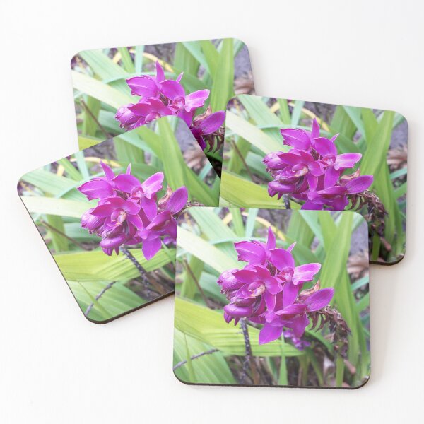 Item preview, Purple Orchids designed and sold by HJ-Photography.