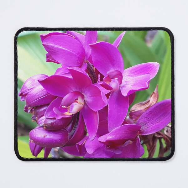 Item preview, Purple Orchids designed and sold by HJ-Photography.