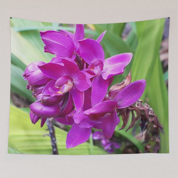 Item preview, Purple Orchids designed and sold by HJ-Photography.