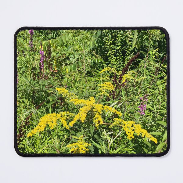 Item preview, Goldenrod designed and sold by Amanda1775.