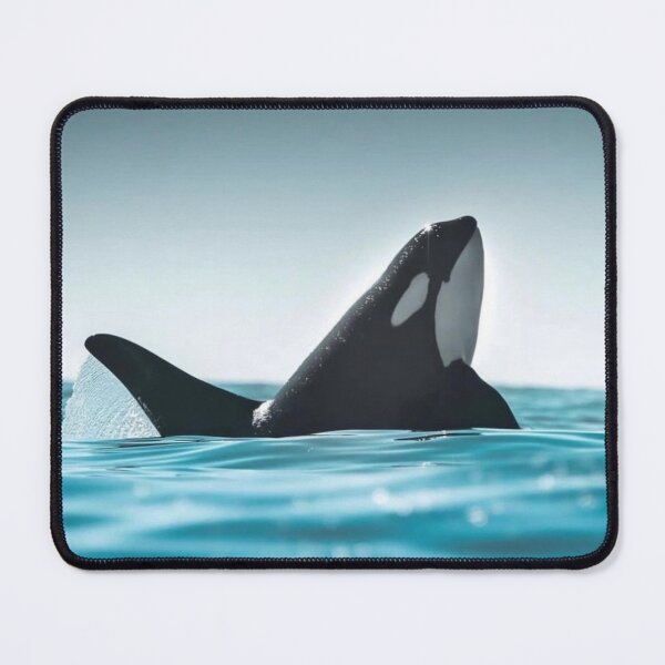 Item preview, Whales Bond University dGlide Across Seas designed and sold by Sarahsumer.