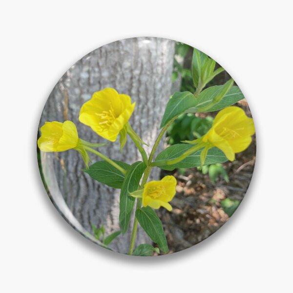 Item preview, Evening Primrose  designed and sold by Amanda1775.
