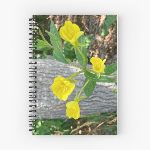 Item preview, Evening Primrose  designed and sold by Amanda1775.