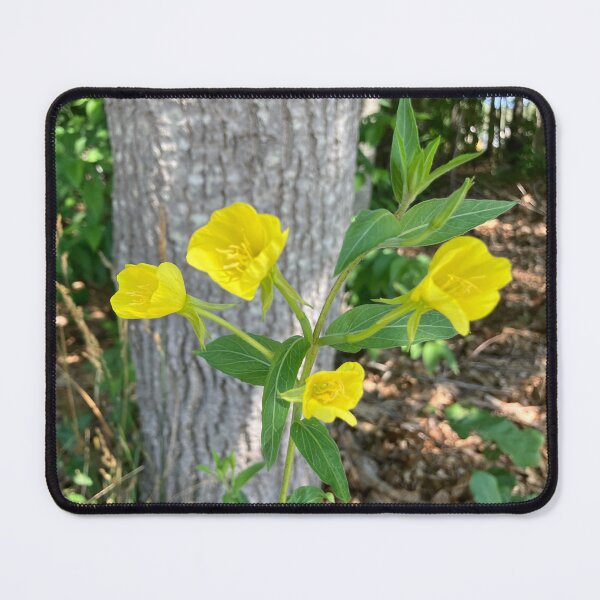 Item preview, Evening Primrose designed and sold by Amanda1775.