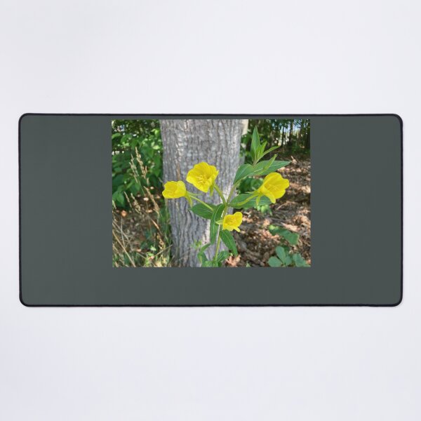 Item preview, Evening Primrose designed and sold by Amanda1775.