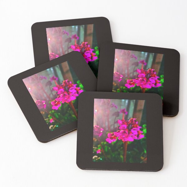 Item preview, Heart-Leaf Bergenias designed and sold by KaleidoscopeMeg.