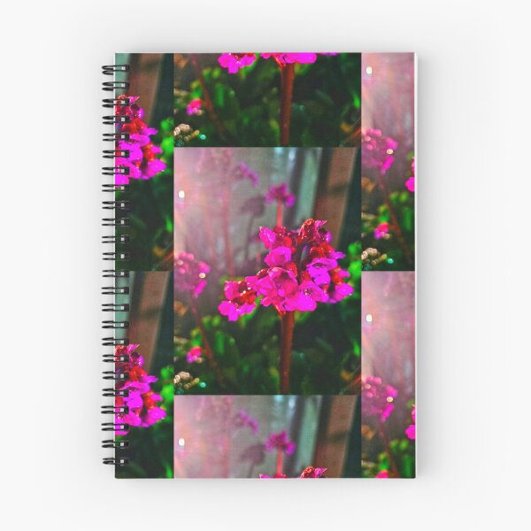 Item preview, Heart-Leaf Bergenias designed and sold by KaleidoscopeMeg.