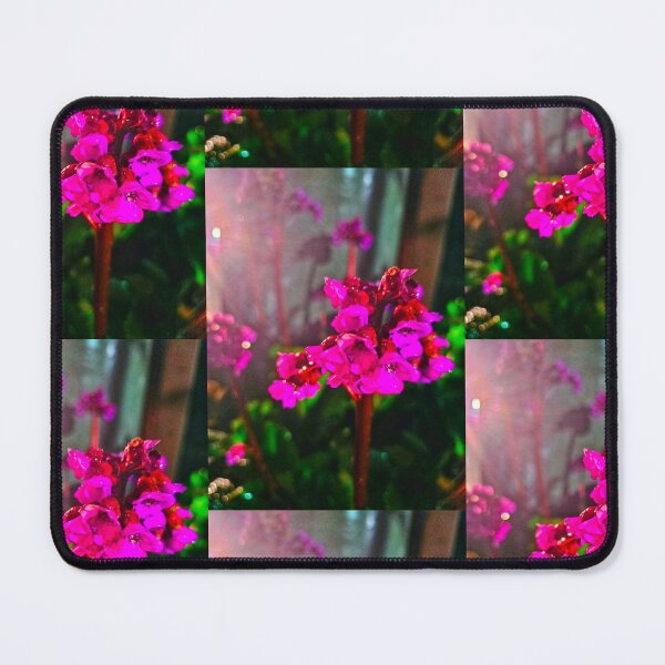 Item preview, Heart-Leaf Bergenias designed and sold by KaleidoscopeMeg.