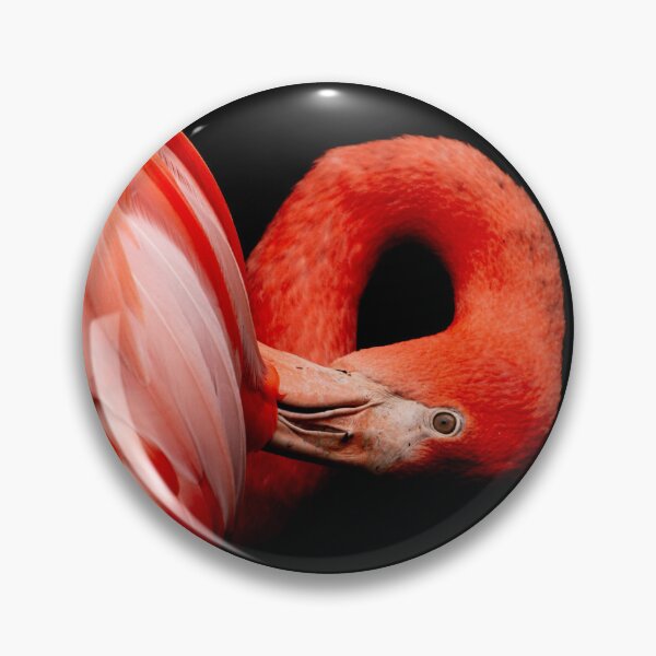 Item preview, Flamingo designed and sold by JenDGraphicDesign.