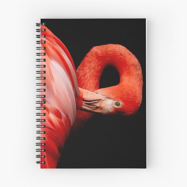 Item preview, Flamingo designed and sold by JenDGraphicDesign.