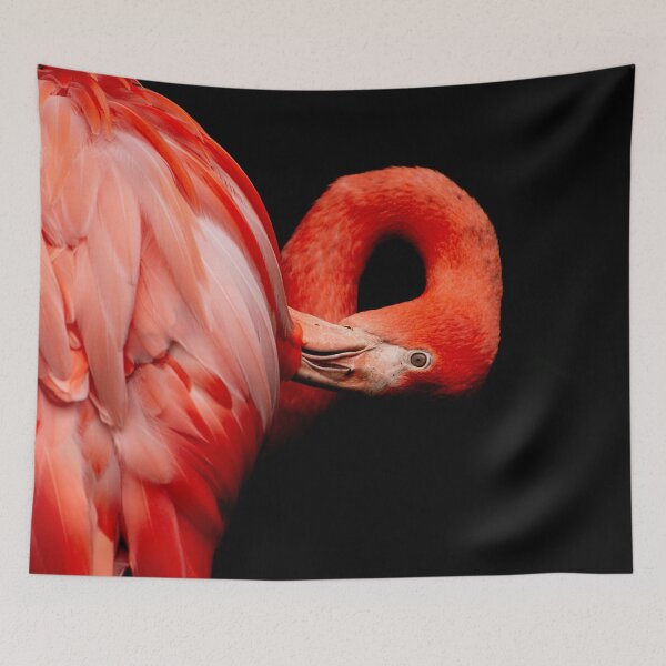 Item preview, Flamingo designed and sold by JenDGraphicDesign.