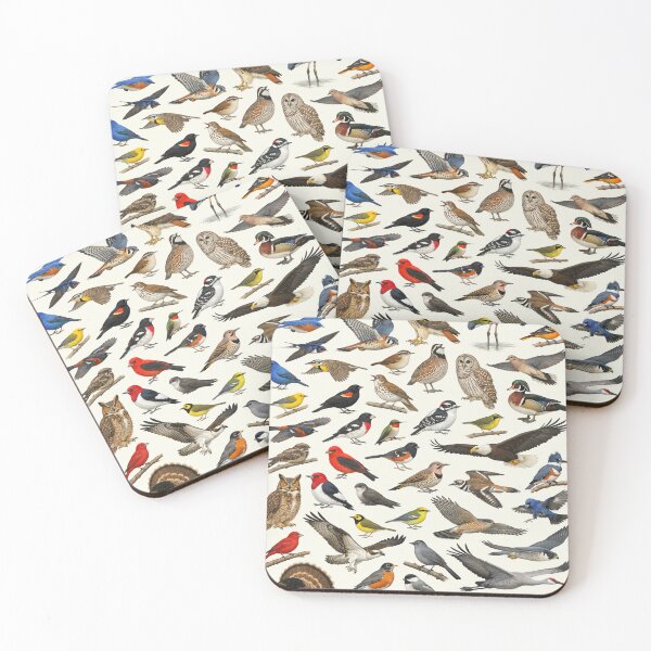 Item preview, Native Birds of Kentucky Retro Style Identification Chart designed and sold by kakarikihill.