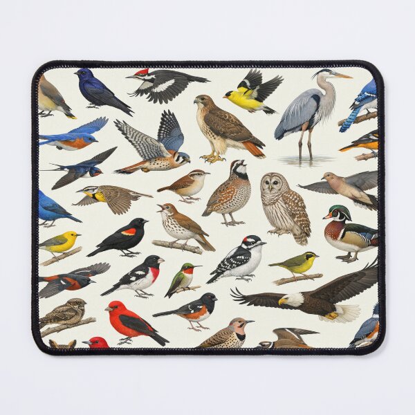 Item preview, Native Birds of Kentucky Retro Style Identification Chart designed and sold by kakarikihill.