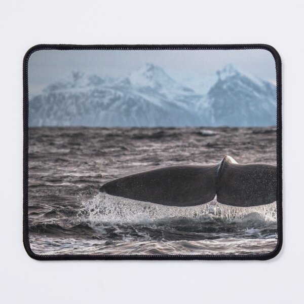 Item preview, Whales Flinders University bProtect Marine Wonders designed and sold by Sarahsumer.