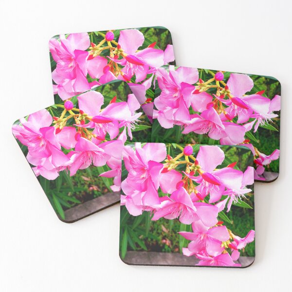 Item preview, Pink Oleander designed and sold by HJ-Photography.