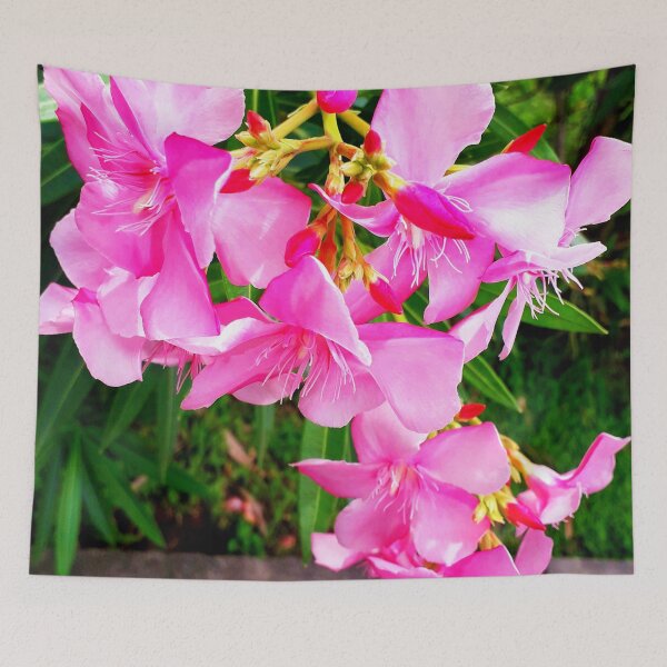 Item preview, Pink Oleander designed and sold by HJ-Photography.