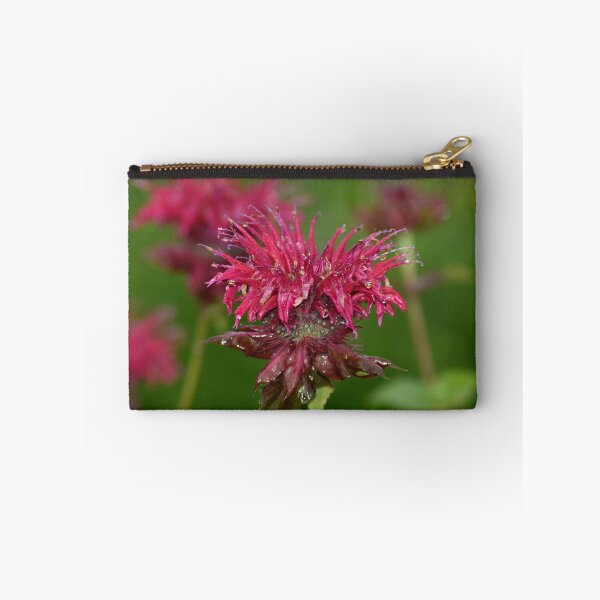 Item preview, Magenta Bee Balm Flower Horizontal | Monarda Macro Floral Photography designed and sold by TathataPhotos.