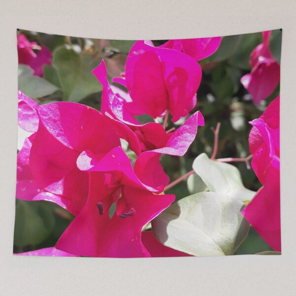 Item preview, Pink Bougainvillea designed and sold by HJ-Photography.