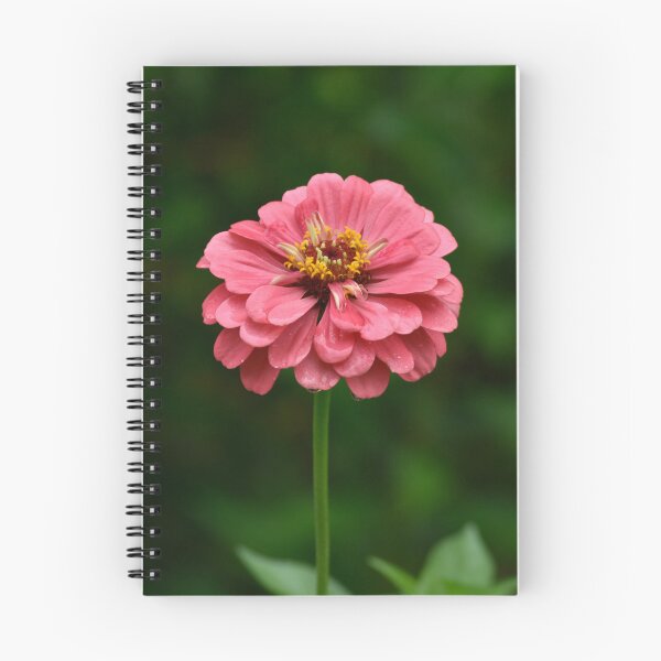 Item preview, Rain Kissed Pink Zinnia Vertical | Zinnia Elegans Macro Floral Photography designed and sold by TathataPhotos.
