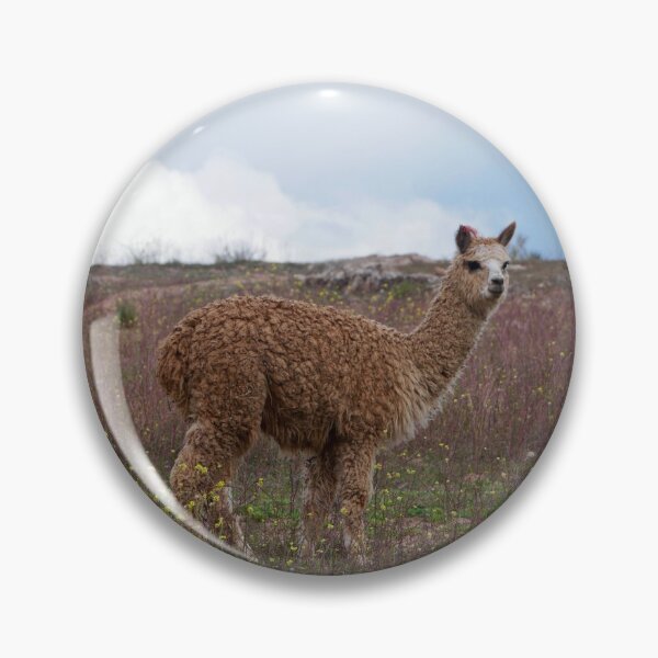Item preview, Brown Llama in the Peruvian Sacred Valley designed and sold by olivia-wilbur.