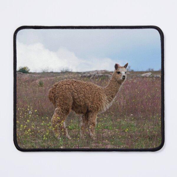 Item preview, Brown Llama in the Peruvian Sacred Valley designed and sold by olivia-wilbur.