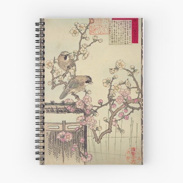 Item preview, Japanese Jay and Plum Blossom - Bairei Kono Vintage Art No. 01																																	 designed and sold by UkiyoInkStudio.