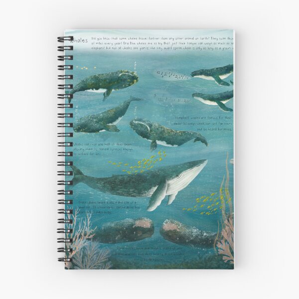 Item preview, Wonder of Whales -  Educational Whale Fact Poster designed and sold by Katherine Quinn Illustration.