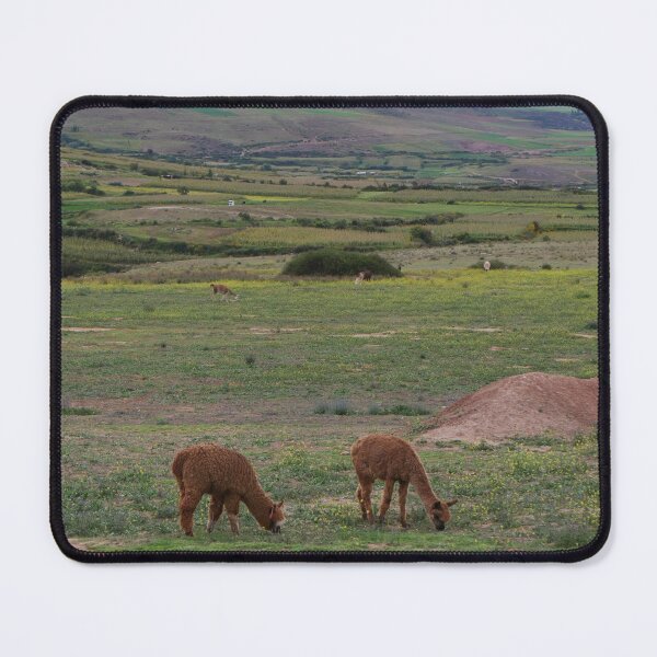 Item preview, Grazing Llamas in Peru designed and sold by olivia-wilbur.
