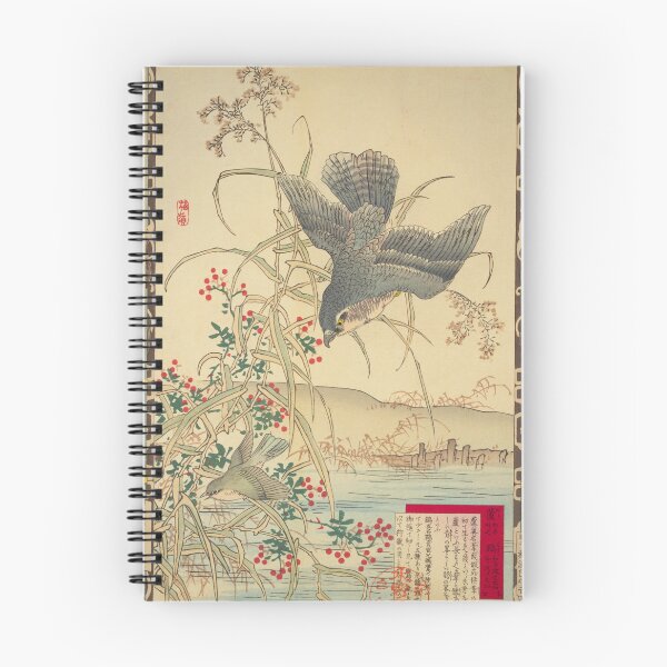 Item preview, Japanese Sparrowhawk and Reeds - Bairei Kono Vintage Art No. 05 designed and sold by UkiyoInkStudio.