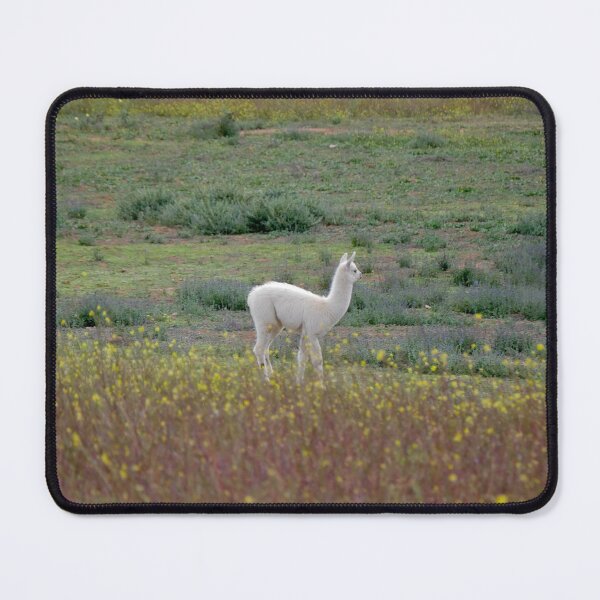 Item preview, Little White Llama in the Peruvian Valley designed and sold by olivia-wilbur.