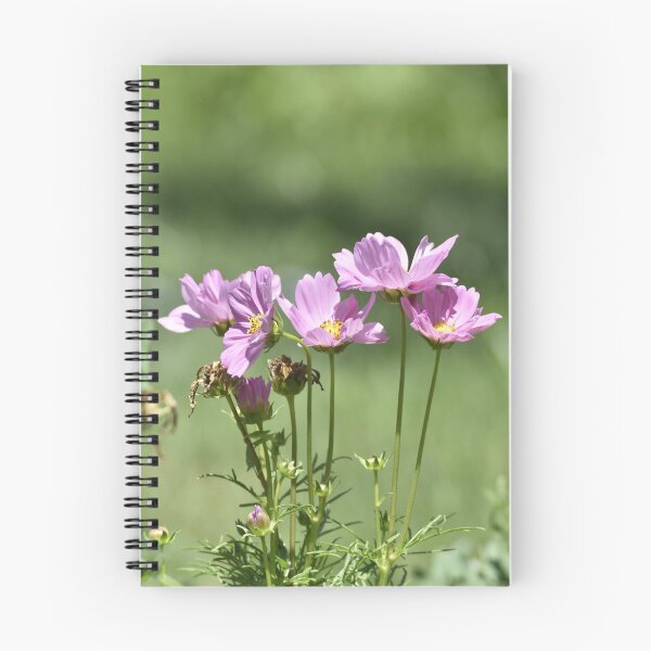 Item preview, Five Purple Cosmos Flowers Vertical | Cosmos Bipinnatus Garden Photography designed and sold by TathataPhotos.