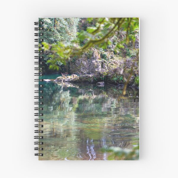 Item preview, Columbia River Gorge Reflections designed and sold by timmyschmidt92.