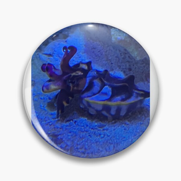 Item preview, Cuttlefish designed and sold by Taranodongirl7.