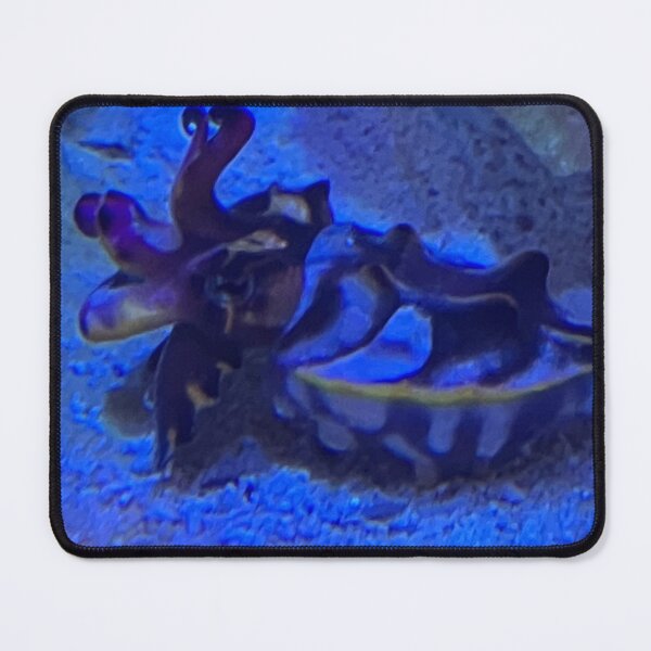 Item preview, Cuttlefish designed and sold by Taranodongirl7.