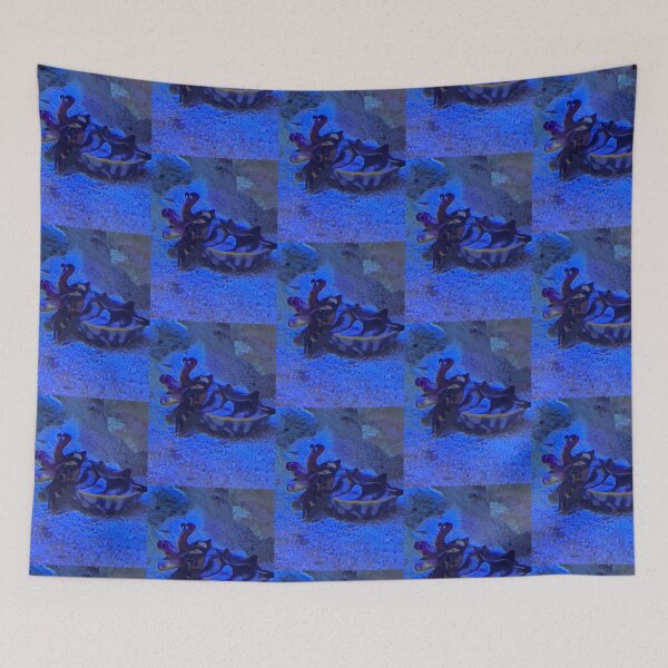 Item preview, Cuttlefish designed and sold by Taranodongirl7.