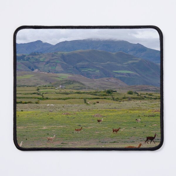 Item preview, A Sea of Llamas in Peru designed and sold by olivia-wilbur.