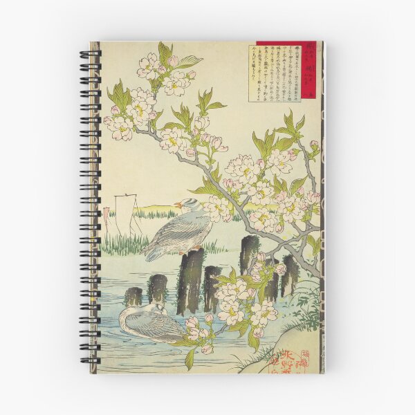 Item preview, Japanese Seagull and Cherry Blossom - Bairei Kono Vintage Art No. 16 designed and sold by UkiyoInkStudio.