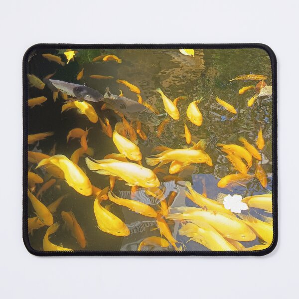 Item preview, Golden Koi Fish Swimming in a Tranquil Garden Pond, Tropical Water Garden designed and sold by PhuongVoArt.