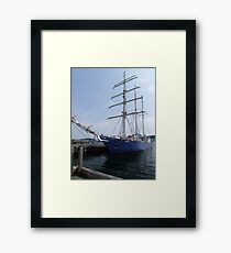 Concordia Framed Print