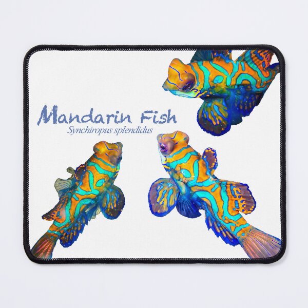 Item preview, Mandarin Fish Party designed and sold by tank200bar.