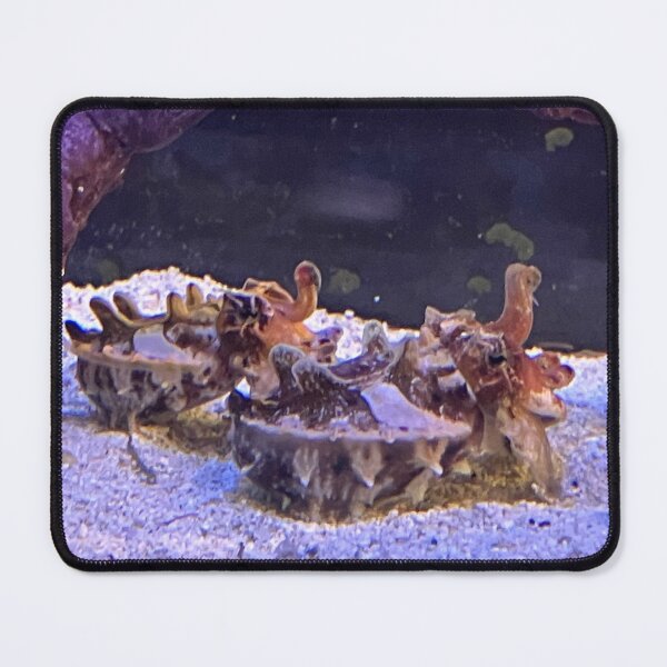 Item preview, Cuttlefish designed and sold by Taranodongirl7.