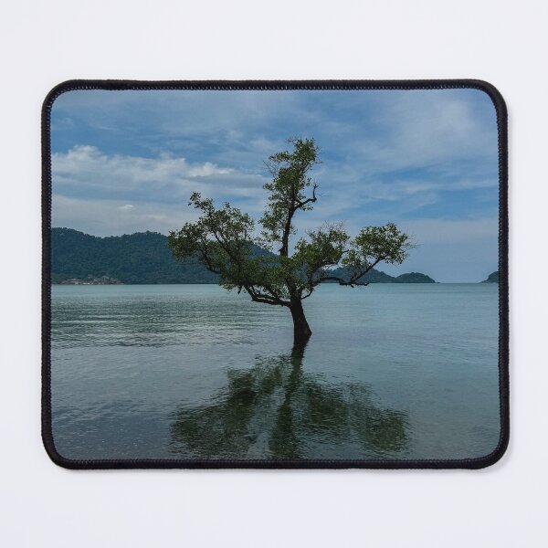 Item preview, Solitary Mangrove Tree Reflecting in Calm Tropical Water designed and sold by PhotographyPi.