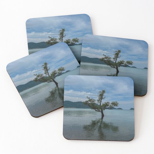 Item preview, Solitary Mangrove Tree Reflecting in Calm Tropical Water designed and sold by PhotographyPi.