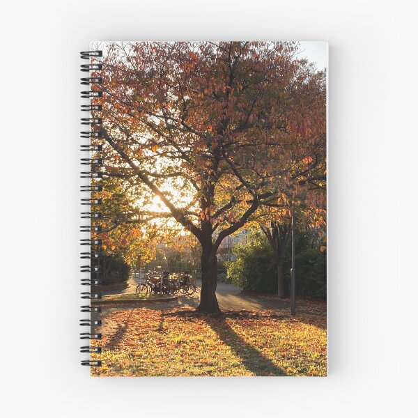 Item preview, Autumn Glow in a Neighborhood Park designed and sold by JapanStudio123.